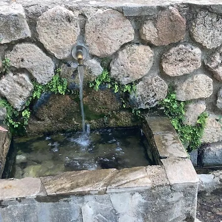 Vacacional Homestay szállás *